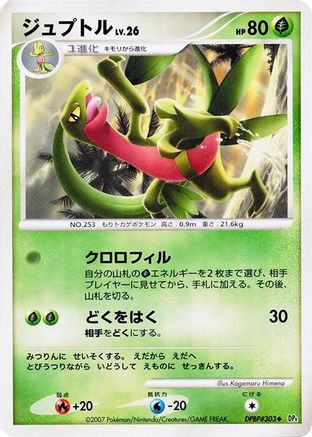 Image of Grovyle  - DP4 Dawn Dash Unlimited