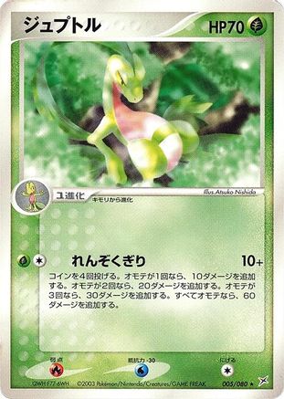 Image of Grovyle (005/080) - Magma VS Aqua Two Ambitions 1st Edition