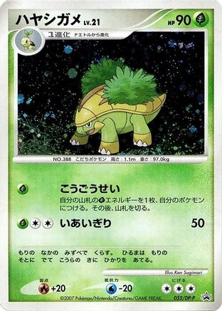 Image of Grotle - 052/DP-P (052/DP-P) - DPP Promotional cards Holofoil