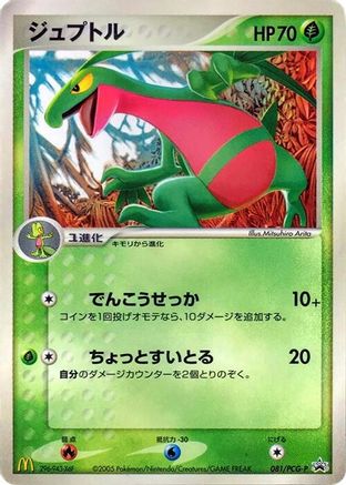 Image of Grovyle - 081/PCG-P (081/PCG-P) - PCGP Promotional cards