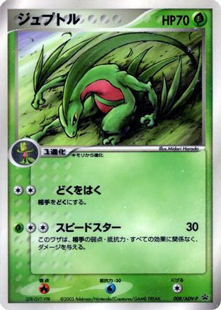 Image of Grovyle - 008/ADV-P (008/ADV-P) - ADVP Promotional cards
