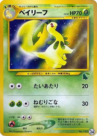 Image of Bayleef (24) - Intro Pack Neo Chikorita