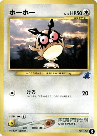 Image of Hoothoot (3) - Intro Pack Neo Totodile