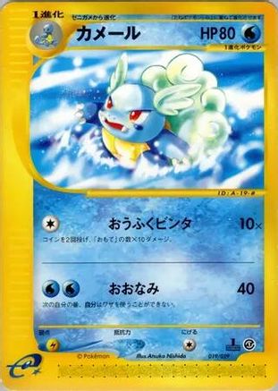 Image of Wartortle (019/029) - Pokemone Starter Deck 1st Edition