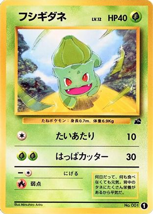 Image of Bulbasaur - 1 (1) - Intro Pack Bulbasaur