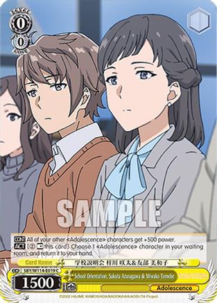 Image of School Orientation, Sakuta Azusagawa & Miwako Tomobe (SBY/W114-E019 C) - Rascal Does Not Dream Series