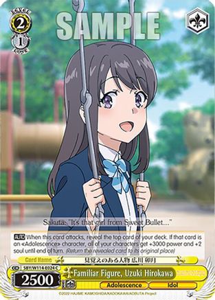 Image of Familiar Figure, Uzuki Hirokawa (SBY/W114-E024 C) - Rascal Does Not Dream Series