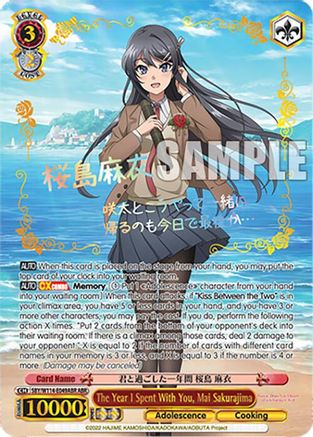 Image of The Year I Spent With You, Mai Sakurajima (ABR) (SBY/W114-E049ABR ABR) - Rascal Does Not Dream Series