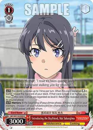 Image of Introducing the Boyfriend, Mai Sakurajima (SBY/W114-E069 C) - Rascal Does Not Dream Series