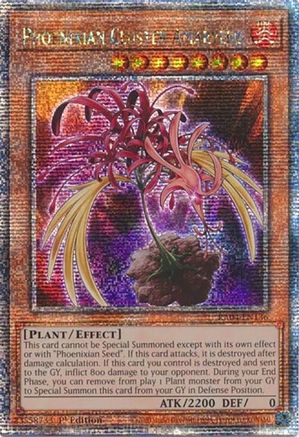 Image of Phoenixian Cluster Amaryllis (Quarter Century Secret Rare) (RA04-EN136) - Quarter Century Stampede 1st Edition