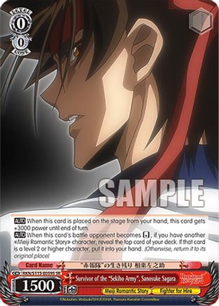 Image of Survivor of the 