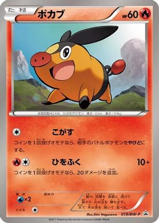 Image of Tepig - 019/BW-P (019/BW-P) - BWP Promotional cards