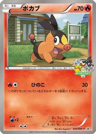 Image of Tepig - 043/BW-P (043/BW-P) - BWP Promotional cards