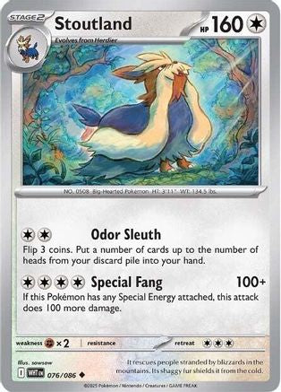 Image of Stoutland 076/086  SV White Flare - Uncommon