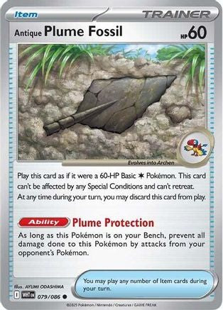 Image of Antique Plume Fossil 079  SV White Flare - Common