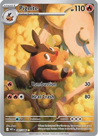 Trove of Collectibles 