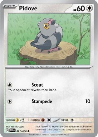 Image of Pidove 071/086  SV Black Bolt - Common