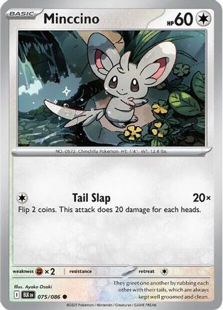 Image of Minccino 075/086  - Reverse Holofoil SV Black Bolt - Common