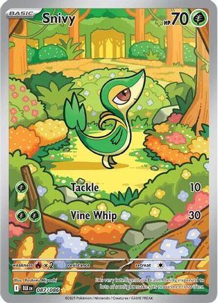 Image of Snivy 087/086  - Holofoil SV Black Bolt - Illustration Rare