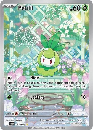 Image of Petilil 091/086  - Holofoil SV Black Bolt - Illustration Rare