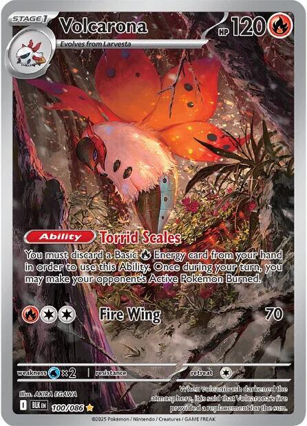 * Volcarona - 100/086 - SV: Black Bolt (BLK)