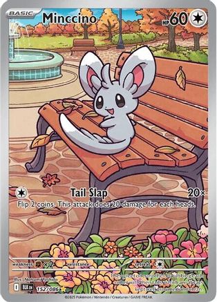 Image of Minccino 152/086  - Holofoil SV Black Bolt - Illustration Rare