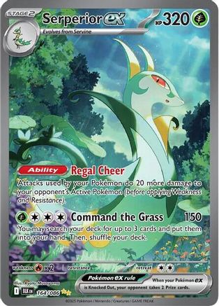Image of Serperior ex 164/086  - Holofoil SV Black Bolt - Special Illustration Rare