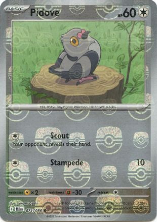 Image of Pidove (Master Ball Pattern) 071/086  - Holofoil SV Black Bolt - Common