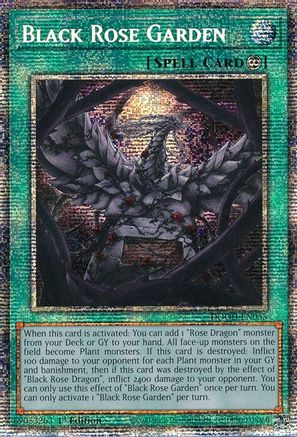 Image of Black Rose Garden (Starlight Rare) (DOOD-EN055) - Doom of Dimensions 1st Edition