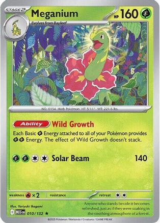 Image of Meganium 010  - Reverse Holofoil ME01 Mega Evolution - Rare