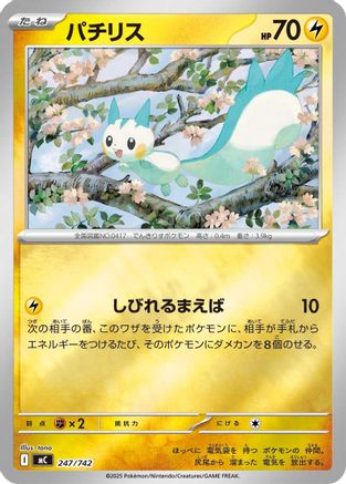 Image of Pachirisu (247/742) - Start Deck 100 Battle Collection