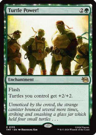 Image of Turtle Power! (TMT-135) - Teenage Mutant Ninja Turtles