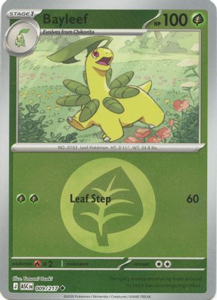 Image of Bayleef (Energy Symbol Pattern) 009  - Reverse Holofoil ME Ascended Heroes - Uncommon