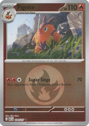 Image of Pignite (Energy Symbol Pattern) 030  - Reverse Holofoil ME Ascended Heroes - Uncommon