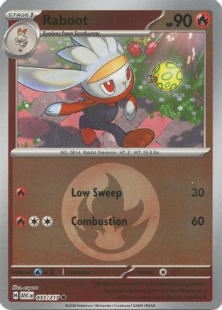 Image of Raboot (Energy Symbol Pattern) 037  - Reverse Holofoil ME Ascended Heroes - Common