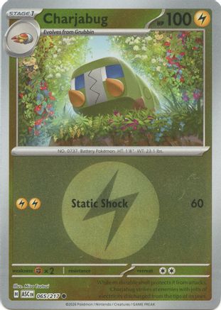 Image of Charjabug (Energy Symbol Pattern) 065  - Reverse Holofoil ME Ascended Heroes - Common