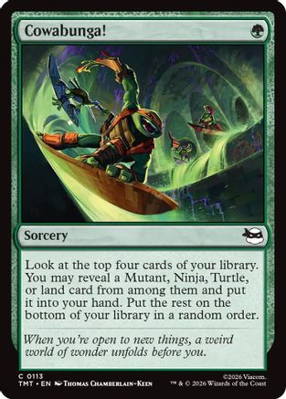Image of Cowabunga! (TMT-113) - Teenage Mutant Ninja Turtles