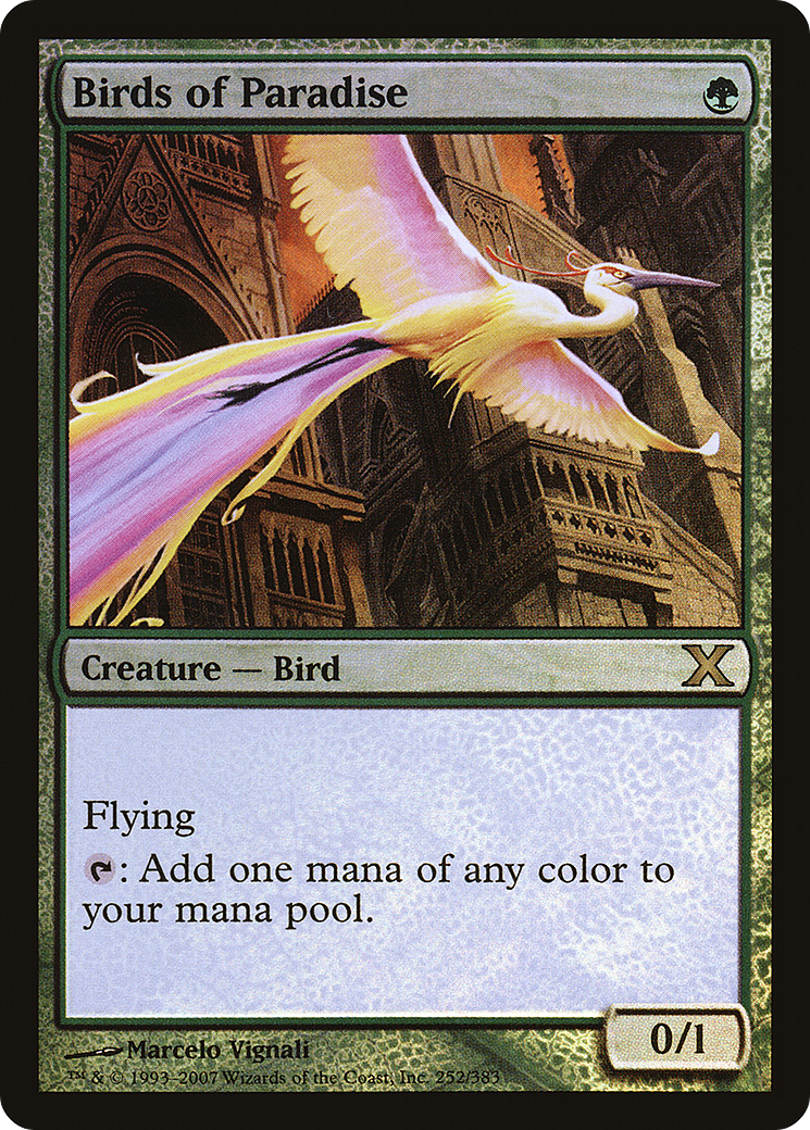 Image of Birds of Paradise (10E-252★) - Tenth Edition Foil
