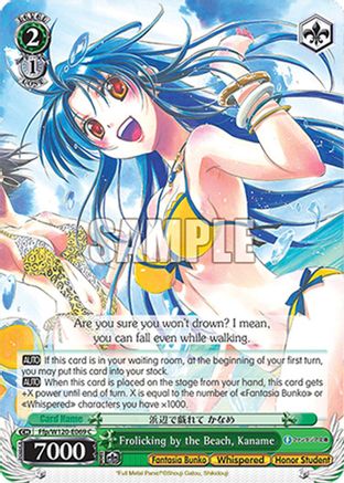 Image of Frolicking by the Beach, Kaname (Ffp/W120-E069 C) - Fujimi Fantasia Bunko Vol.2