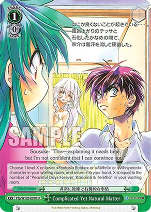 Image of Complicated Yet Natural Matter (Ffp/W120-E070 U) - Fujimi Fantasia Bunko Vol.2