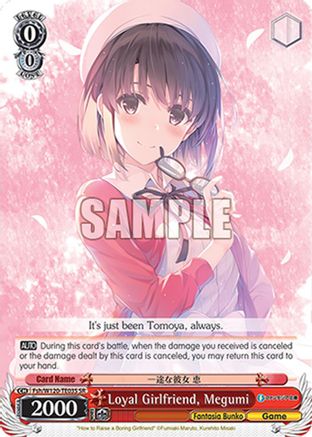Image of Loyal Girlfriend, Megumi (Fsh/W120-TE03 TD) - Fujimi Fantasia Bunko Vol.2