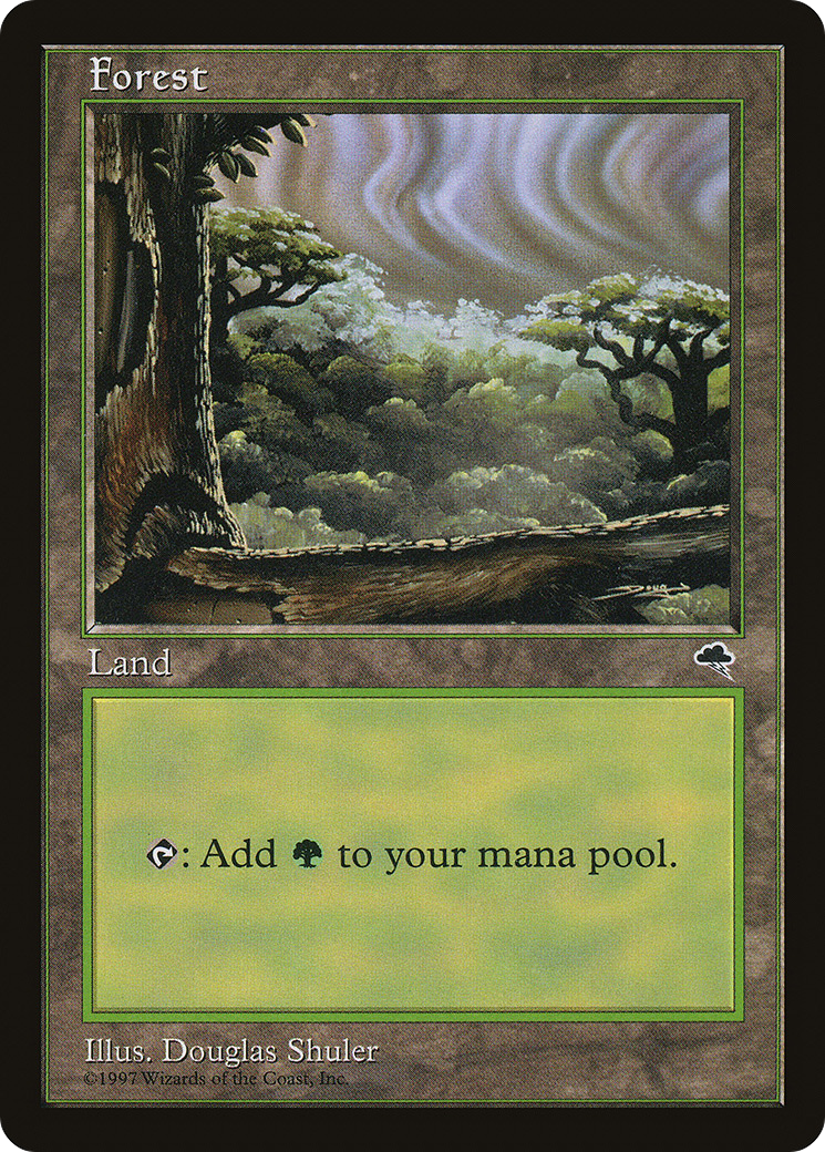 Image of Forest (Cloudy) (TMP-349) - Tempest