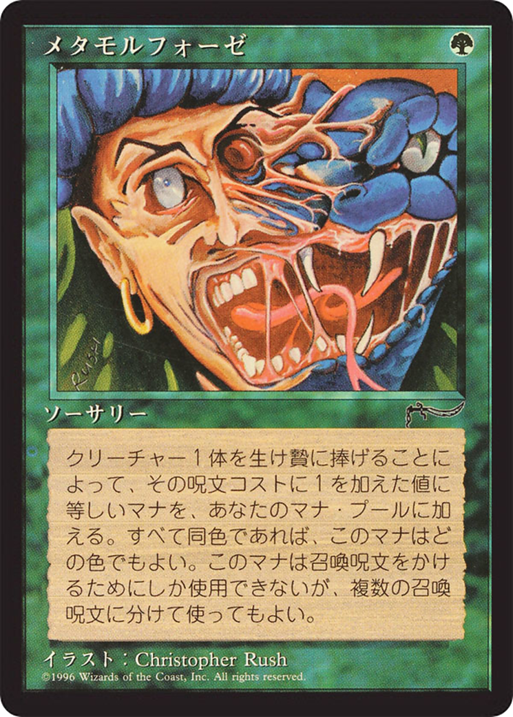 Image of Metamorphosis (BCHR-066) - Chronicles Foreign Black Border