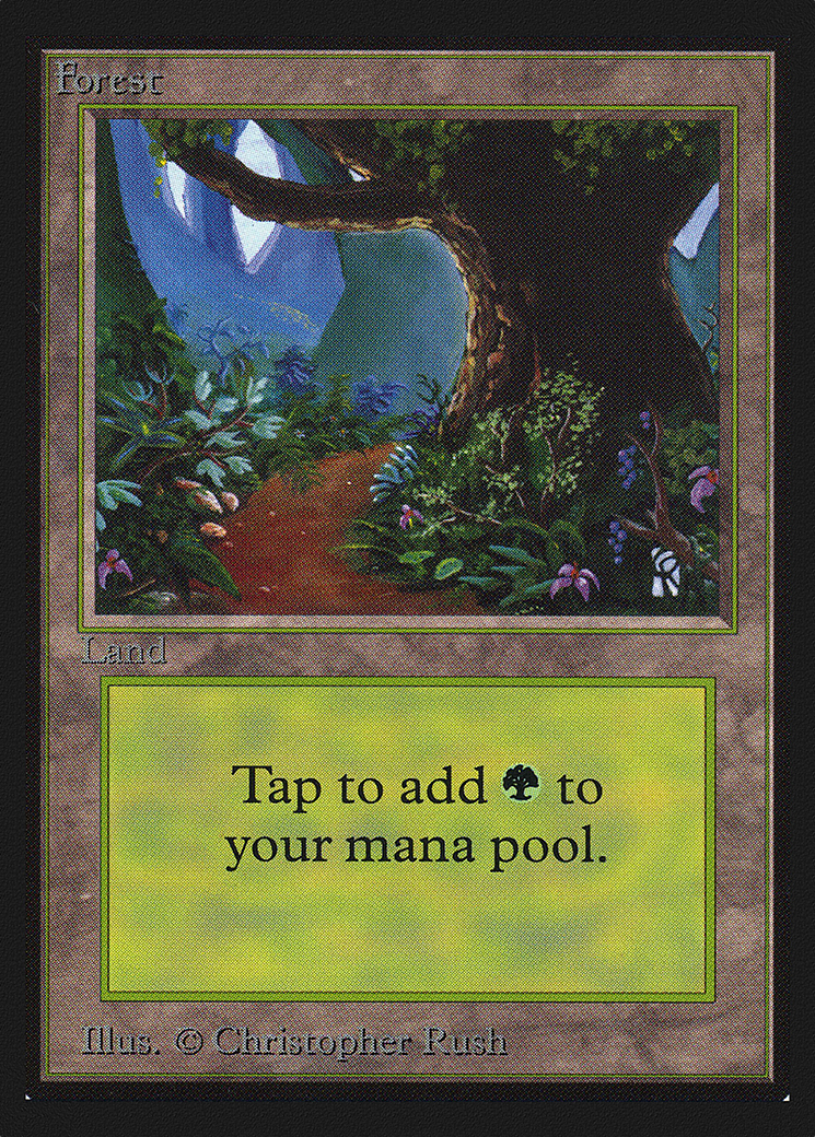 Image of Forest (B) (CE) (CED-281) - Collectors' Edition