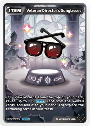 Image of Veteran Director's Sunglasses (BS12-103) - Festival Arena