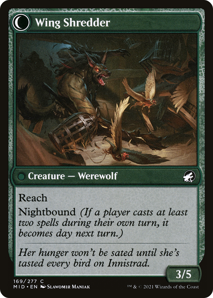 Image of Bird Admirer (MID-169) - Innistrad: Midnight Hunt: (Double Faced Transform) Foil