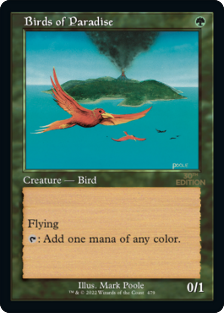 Image of Birds of Paradise (Retro Frame) (30A-479) - 30th Anniversary Edition