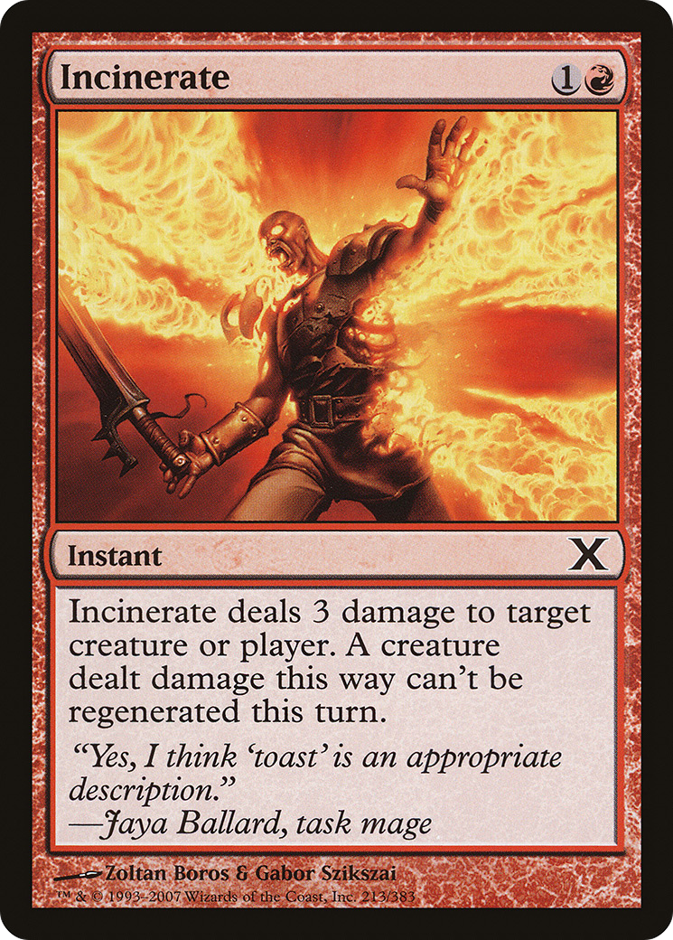 Image of Incinerate (10E-213) - Tenth Edition