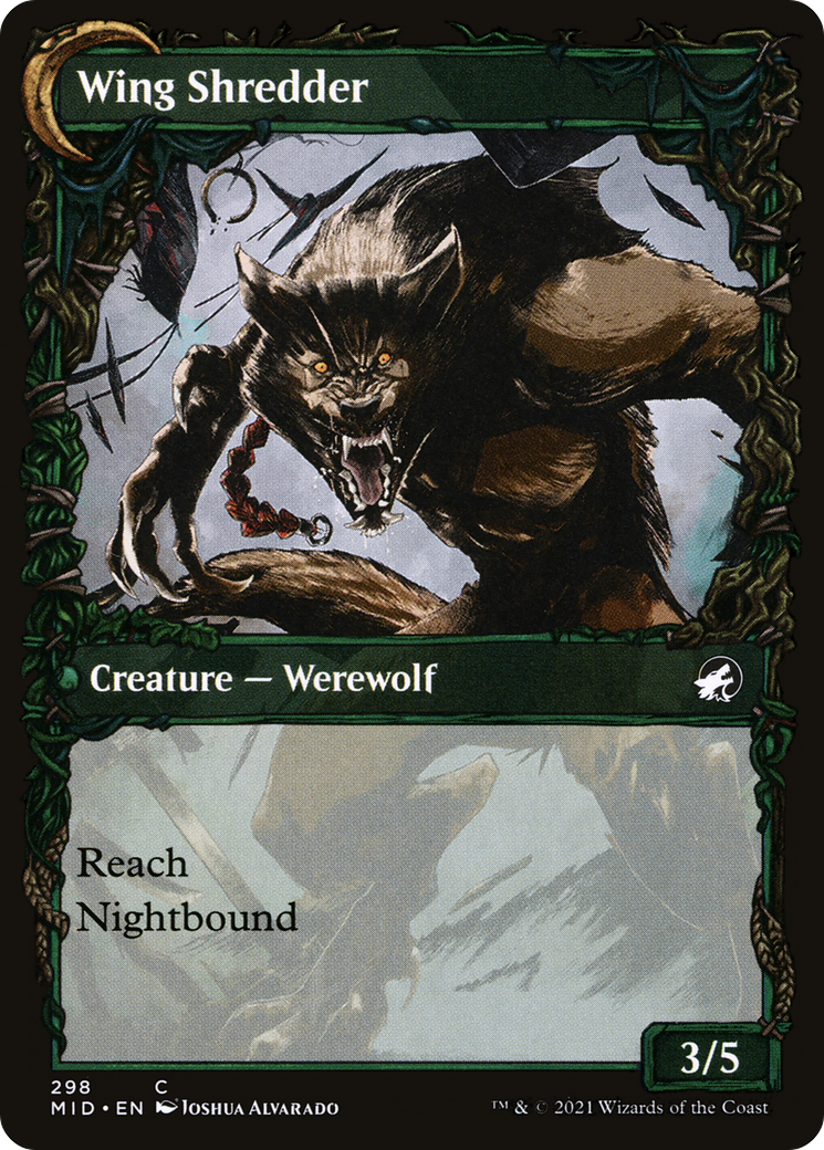 Image of Bird Admirer (Showcase) (MID-298) - Innistrad: Midnight Hunt: (Showcase, Double Faced Transform)