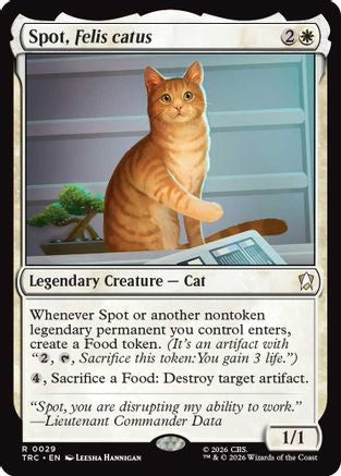 Image of Spot, Felis catus (TRC-029) - Commander: Star Trek